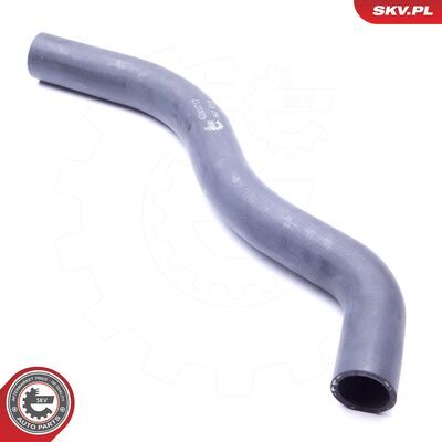 43SKV717