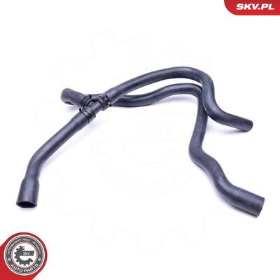 43SKV837