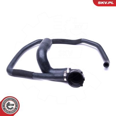 43SKV839