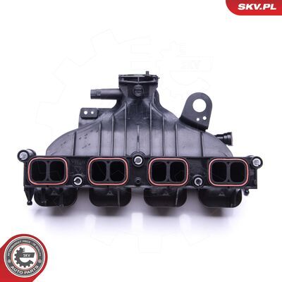 49SKV001