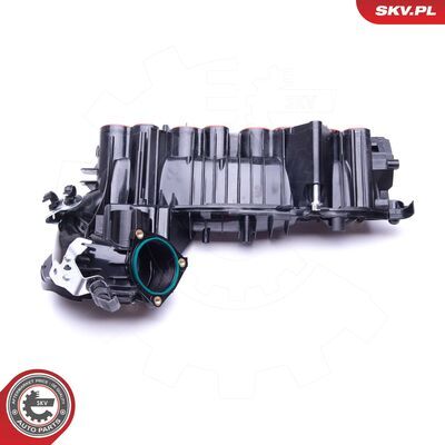 49SKV020