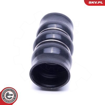 54SKV139
