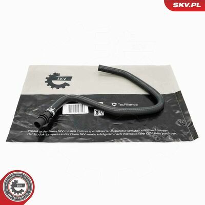 54SKV393