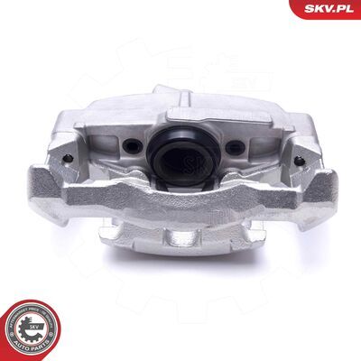 55SKV781