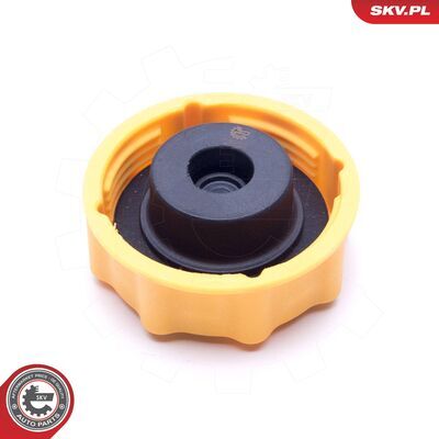61SKV007