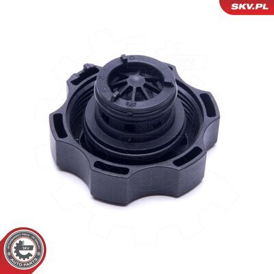 61SKV023