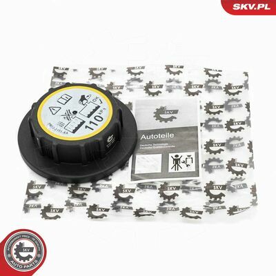 61SKV037