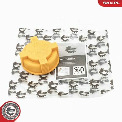 61SKV039