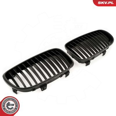 66SKV008
