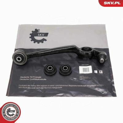 69SKV118