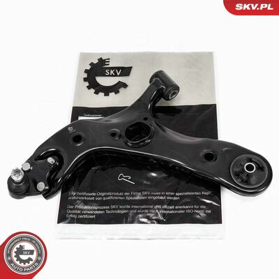 69SKV217
