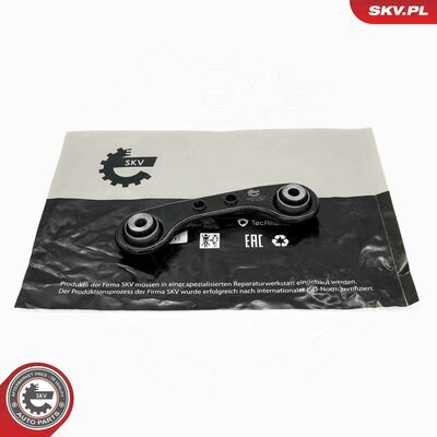 69SKV813