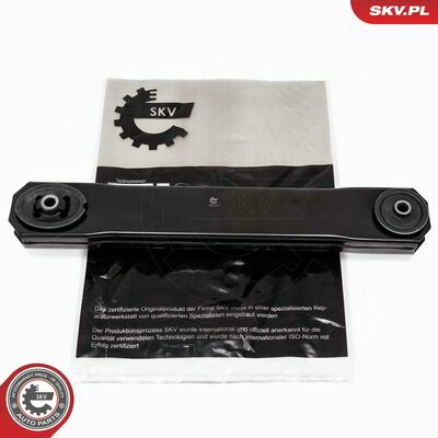 69SKV818