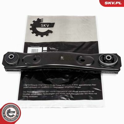 69SKV819