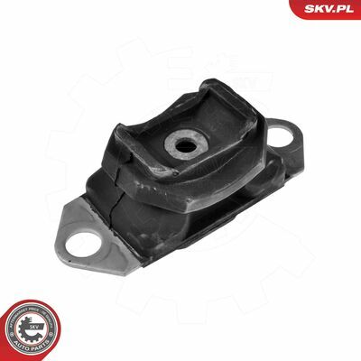 75SKV080