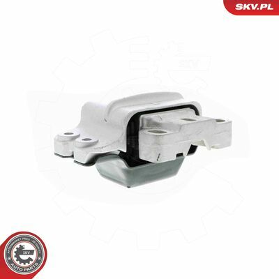 75SKV110