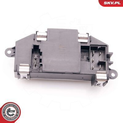 94SKV029