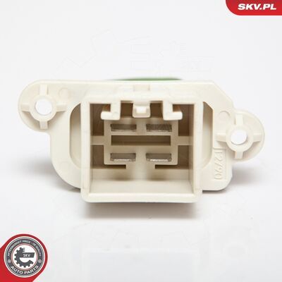 95SKV021