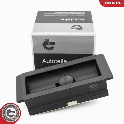 96SKV289