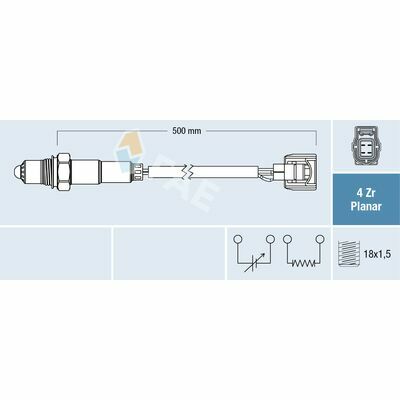 77505