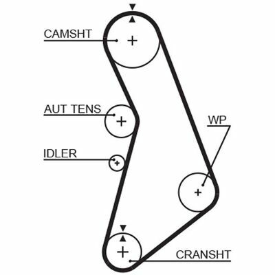 RPM Racing Timing Belt