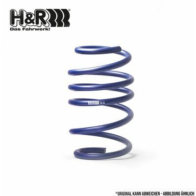 Performance Lowering Spring