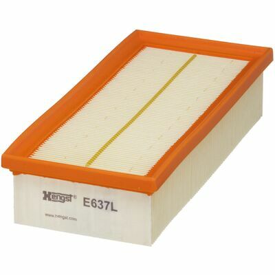 E637L