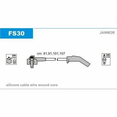 FS30