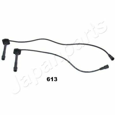IC-613