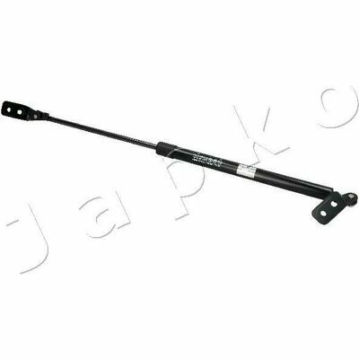 ZSJ30001