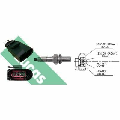 LEB5453