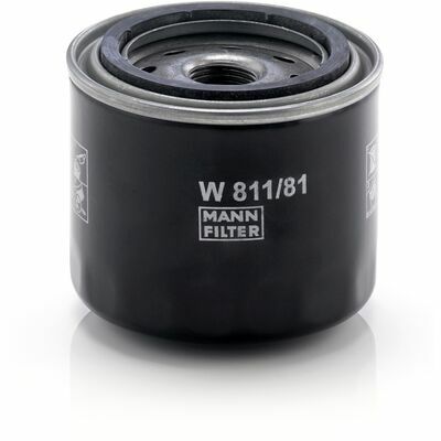 W 811/81