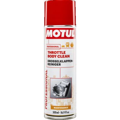THROTTLE BODY CLEAN