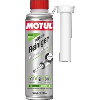 INJECTOR CLEANER GASOLINE EFS