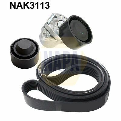 NAK3113