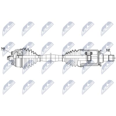 NPW-BM-251