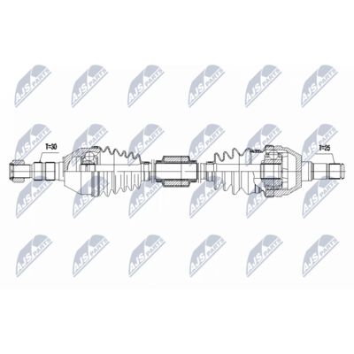 NPW-PL-168