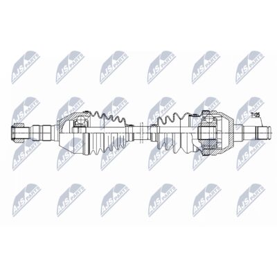 NPW-PL-169