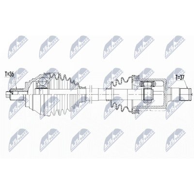 NPW-VW-081
