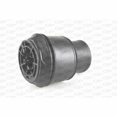 ASP4011.00