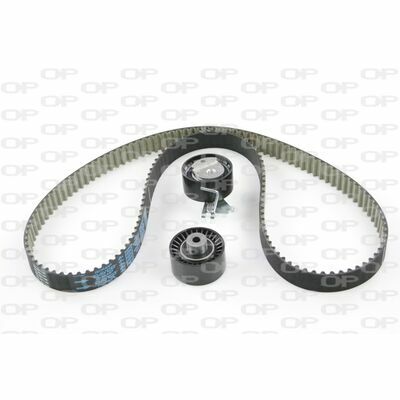 Reinforced Teflon (PTFE)