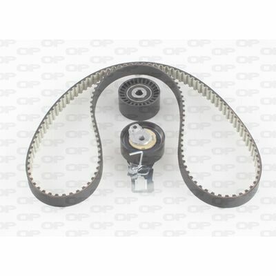 Reinforced Teflon (PTFE)