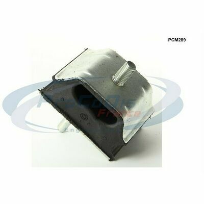 PCM289