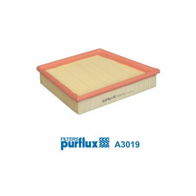 A3019