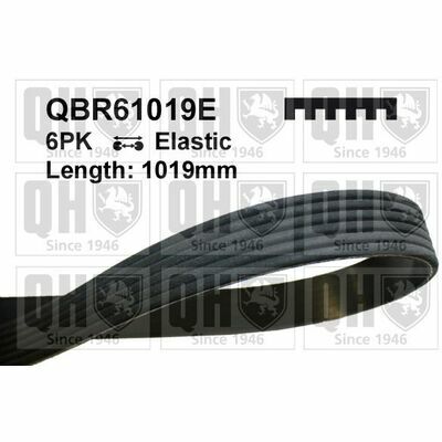 QBR61019E
