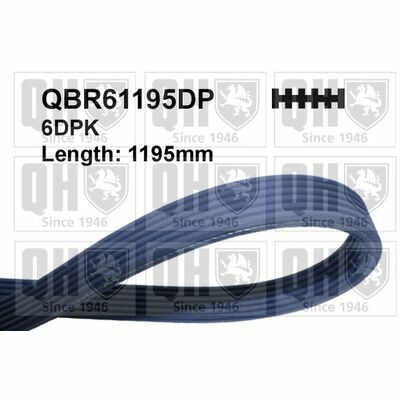 QBR61195DP