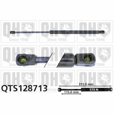 QTS128713