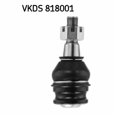 VKDS 818001
