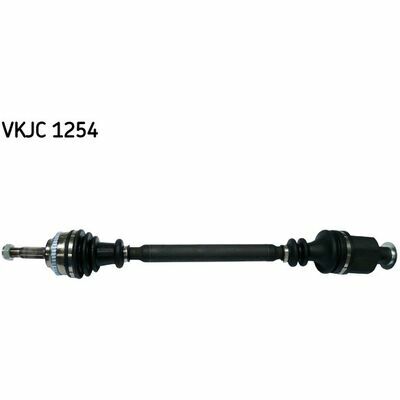 VKJC 1254