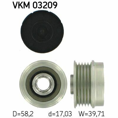 VKM 03209